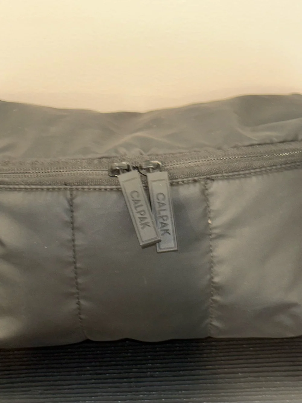 Calpak Black Crossbody Belt Bag